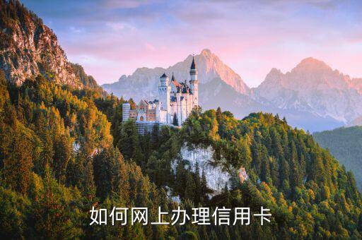 網(wǎng)上辦理信用卡用什么材料，網(wǎng)上申請信用卡需要什么資料