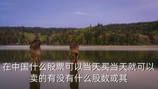 有什么股票能現(xiàn)買現(xiàn)賣，在中國什么股票可以當天買當天就可以賣的有沒有什么股數(shù)或其