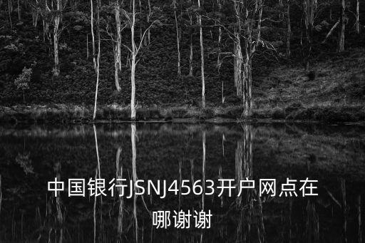 中國銀行JSNJ4563開戶網(wǎng)點(diǎn)在哪謝謝