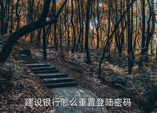 建設(shè)銀行怎么重置登陸密碼