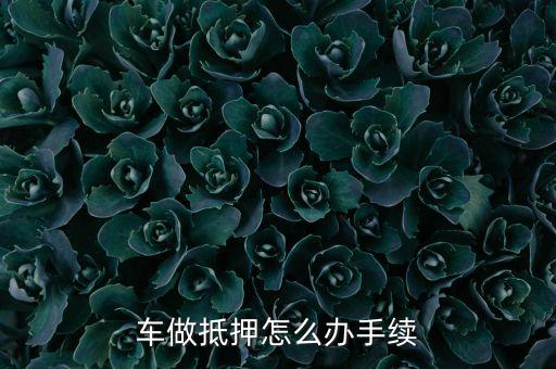 車做抵押怎么辦手續(xù)
