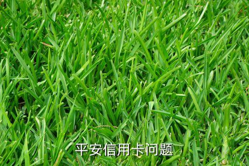 平安信用卡問題