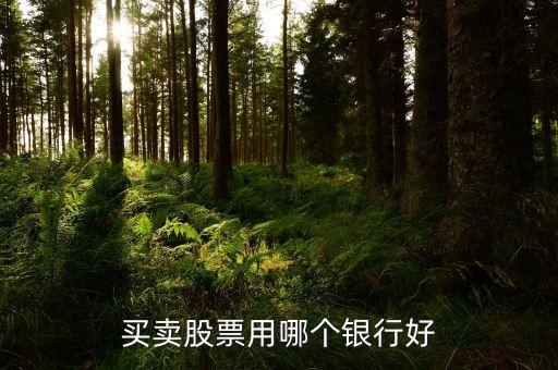 買賣股票用哪個銀行好