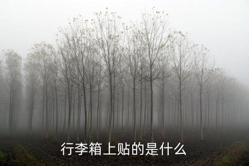 行李箱上貼的是什么