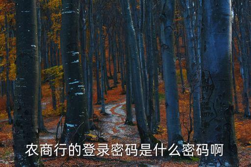 農(nóng)村登錄網(wǎng)上銀行登錄密碼是什么意思，農(nóng)商行的登錄密碼是什么密碼啊