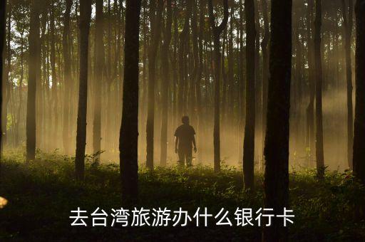 臺(tái)灣帶什么儲(chǔ)蓄卡，大家到臺(tái)灣都用什么銀行卡