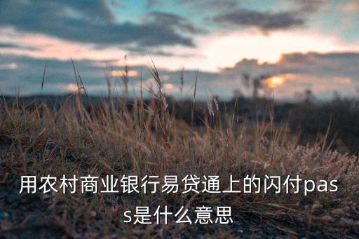 閃付pass是用什么網絡，閃付pass是什么意思