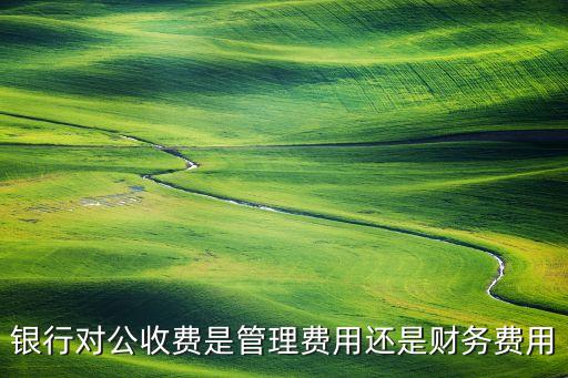 銀行對公收費(fèi)是管理費(fèi)用還是財務(wù)費(fèi)用
