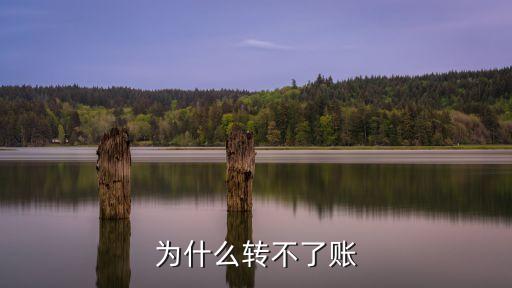 atm機(jī)為什么不能轉(zhuǎn)賬，自動(dòng)取款機(jī)上轉(zhuǎn)不了帳怎么回事我是農(nóng)行卡 對方也是 可是為什么轉(zhuǎn)