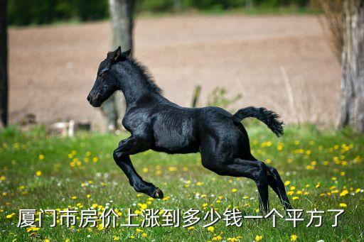 廈門市房價上漲到多少錢一個平方了