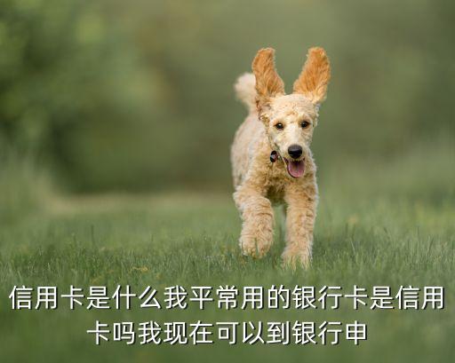 信用卡是什么模式，信用卡是什么我平常用的銀行卡是信用卡嗎我現(xiàn)在可以到銀行申