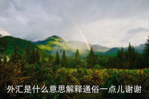 外匯的定義是什么意思，如何理解外匯的概念