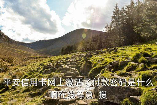 平安信用卡網(wǎng)上激活了付款密碼是什么啊在線等急  搜