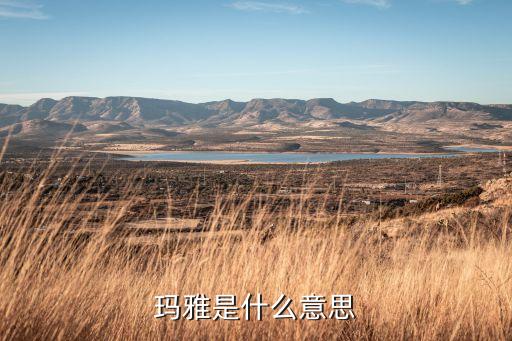 鼎雅意思是什么，嫻雅是什么意思