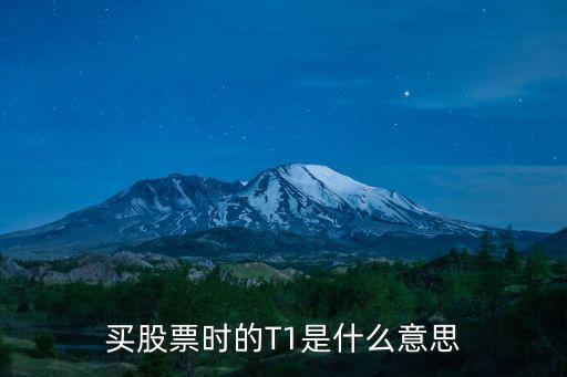 買股票時的T1是什么意思