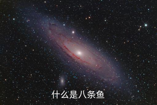 什么是八條魚