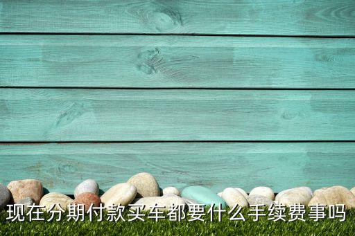 現(xiàn)在分期付款買車都要什么手續(xù)費事嗎