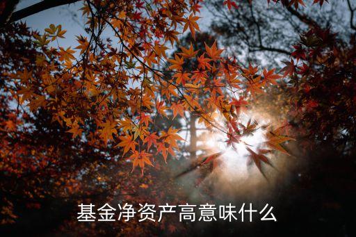 基金凈資產(chǎn)高意味什么