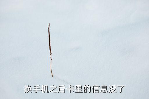 換手機(jī)之后卡里的信息沒(méi)了