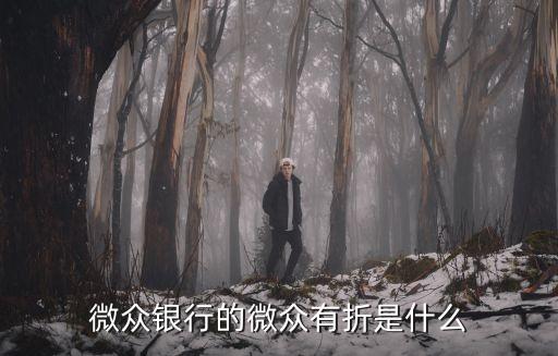 微眾銀行的微眾有折是什么