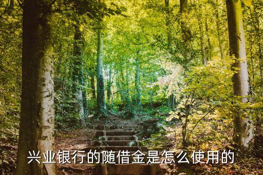 興業(yè)銀行信用卡隨借金是什么，興業(yè)銀行的隨借金是怎么使用的