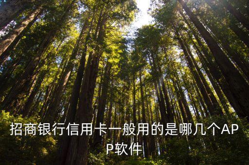 招行的app是什么，求救下大家用的招行手機(jī)軟件是什么名稱的APP