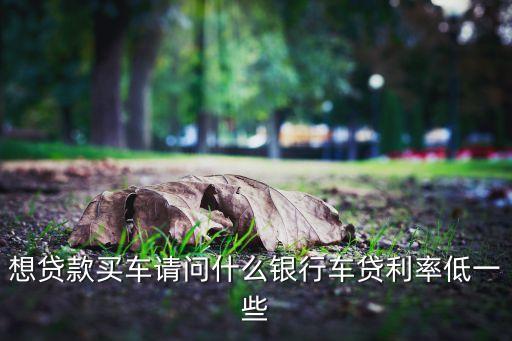 想貸款買車請問什么銀行車貸利率低一些