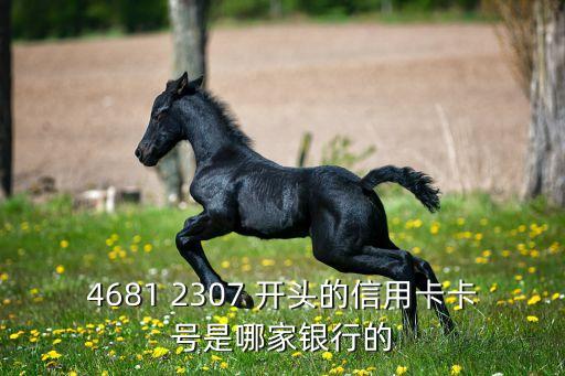 4681 2307 開頭的信用卡卡號是哪家銀行的