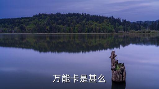 郵政萬(wàn)能卡是什么，萬(wàn)能卡是甚么
