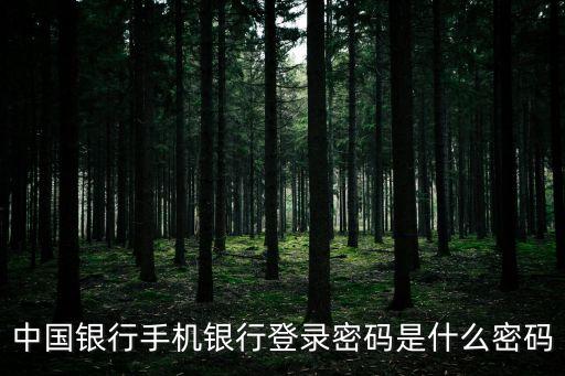 中國銀行手機(jī)銀行登錄密碼是什么密碼