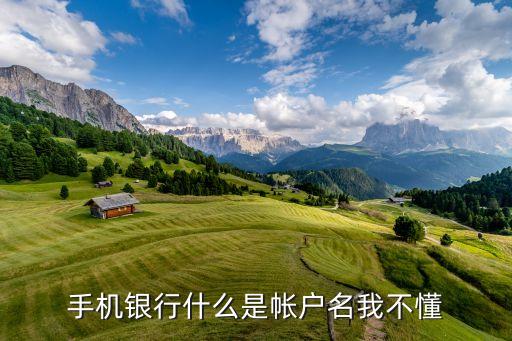 什么叫手機(jī)銀行用戶名，手機(jī)銀行什么是帳戶名我不懂