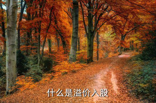 什么是溢價(jià)入股