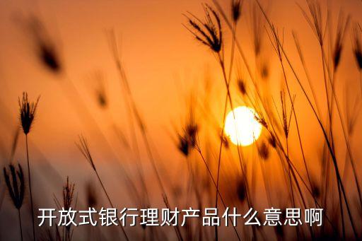 開放式銀行理財(cái)產(chǎn)品什么意思啊