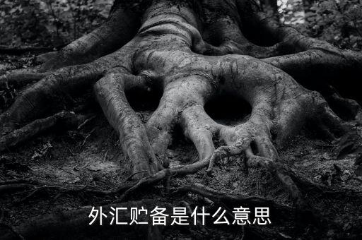 外匯貯備是什么意思