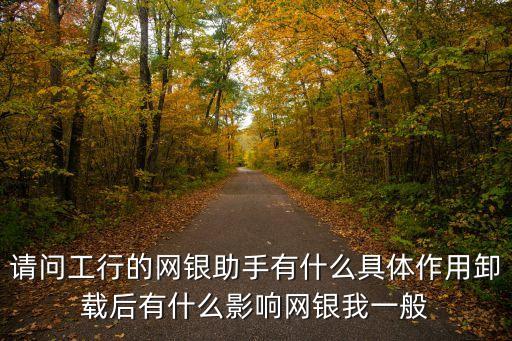 網(wǎng)銀助手有什么功能，工行網(wǎng)銀助手這個(gè)軟件干什么用啊