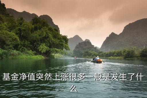 基金凈值高說(shuō)明什么意思，基金凈值突然上漲很多一般是發(fā)生了什么