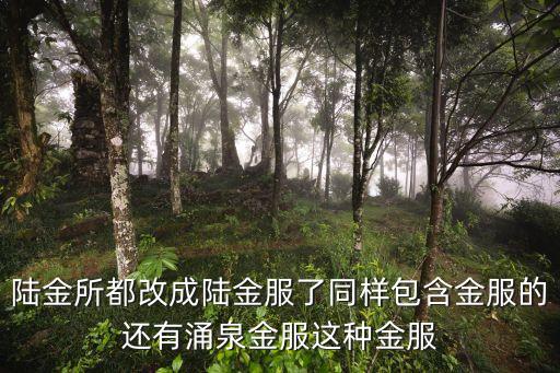 陸金所都改成陸金服了同樣包含金服的還有涌泉金服這種金服