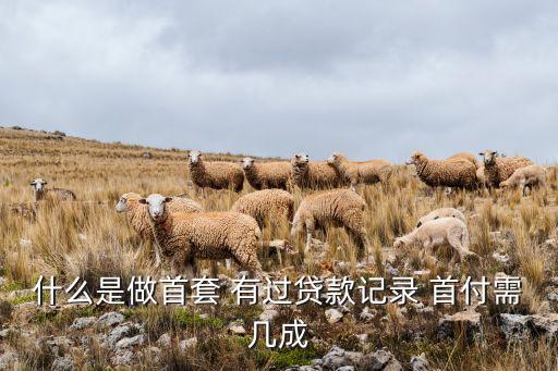 什么是有貸款記錄，什么是信貸記錄