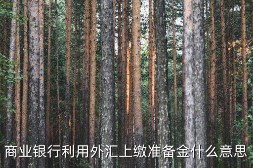 商業(yè)銀行利用外匯上繳準(zhǔn)備金什么意思