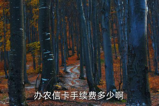 辦農(nóng)信卡手續(xù)費(fèi)多少啊
