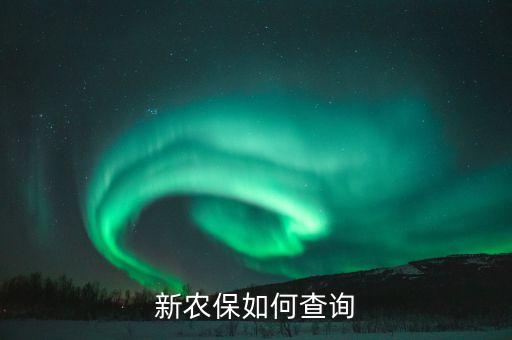 新農(nóng)保如何查詢
