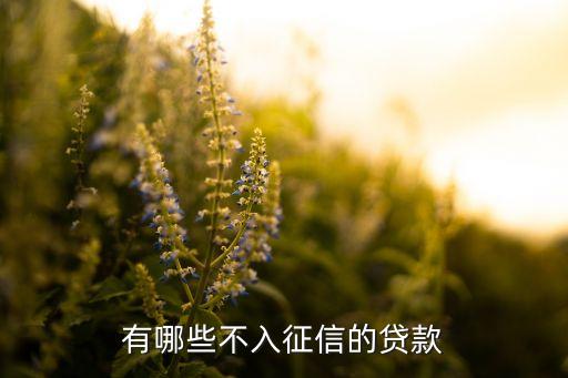 不上征信的貸款有什么，有哪些不入征信的貸款