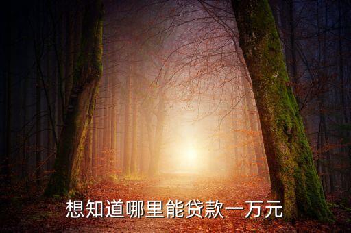想知道哪里能貸款一萬(wàn)元