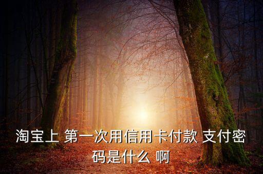 淘寶上 第一次用信用卡付款 支付密碼是什么 啊