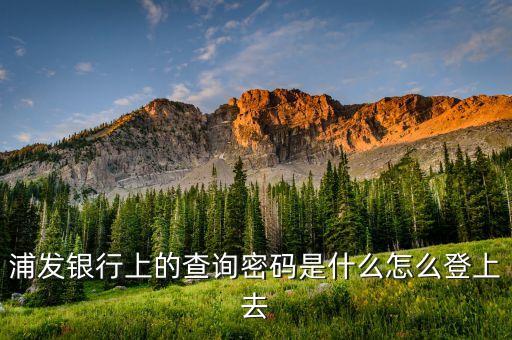 浦發(fā)銀行上的查詢密碼是什么怎么登上去