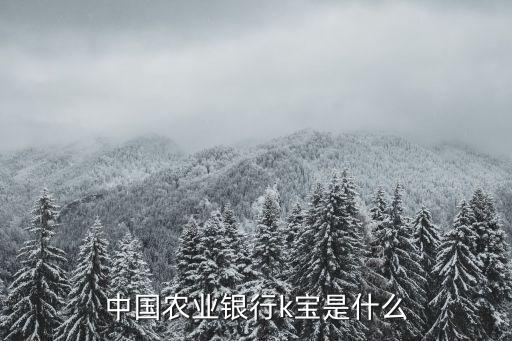 中國(guó)農(nóng)業(yè)銀行k寶是什么