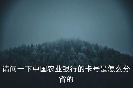 請(qǐng)問一下中國(guó)農(nóng)業(yè)銀行的卡號(hào)是怎么分省的