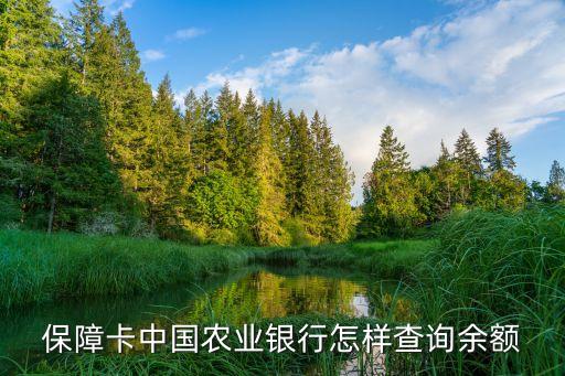 保障卡中國農(nóng)業(yè)銀行怎樣查詢余額