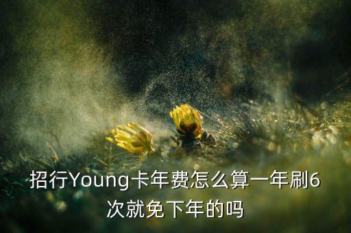 招行Young卡年費(fèi)怎么算一年刷6次就免下年的嗎