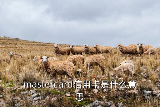 mastercard信用卡是什么意思
